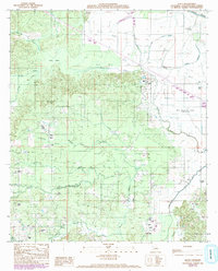 Allen 1989 topographic map thumbnail