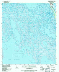Bay Courant 1994 topographic map thumbnail