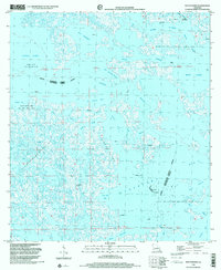Bay Dosgris 1998 topographic map thumbnail