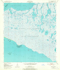 Bayou Lucien 1951 topographic map thumbnail
