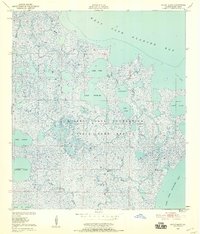 Bayou Blanc 1948 topographic map thumbnail