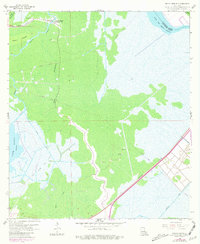 Bayou Boeuf 1962 topographic map thumbnail