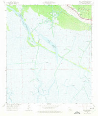 Bayou Cocodrie 1964 topographic map thumbnail