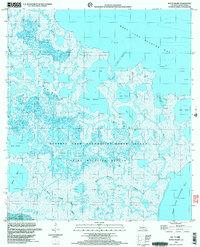 Bayou Blanc 1999 topographic map thumbnail