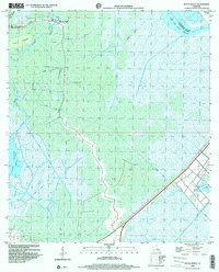 Bayou Boeuf 1998 topographic map thumbnail