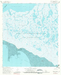 Bayou Lucien 1968 topographic map thumbnail