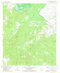 Bayou Pierre Lake 1980 topographic map thumbnail