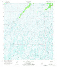 Bayou Sauveur 1964 topographic map thumbnail