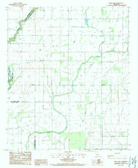 Bear Skin 1986 topographic map thumbnail