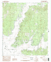 Beech Bayou 1984 topographic map thumbnail