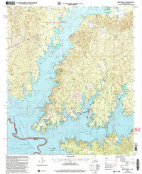 Beech Bayou 2003 topographic map thumbnail