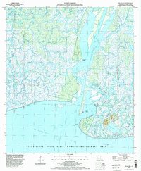 Belle Isle 1994 topographic map thumbnail