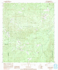 Bellwood 1983 topographic map thumbnail