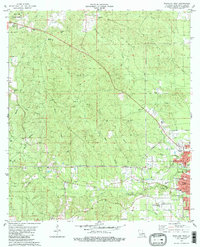 Bogalusa West 1982 topographic map thumbnail