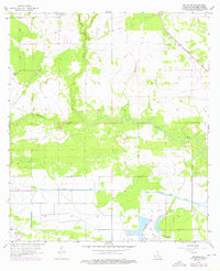 Brimstone 1956 topographic map thumbnail