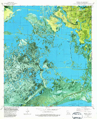 Browns Lake 1982 topographic map thumbnail