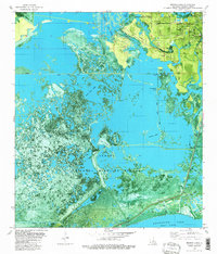 Browns Lake 1982 topographic map thumbnail