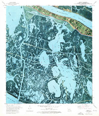 Buras 1973 topographic map thumbnail