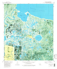 Catfish Lake 1980 topographic map preview