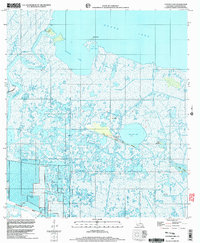 Catfish Lake 1998 topographic map thumbnail