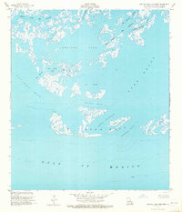 Central Isles Dernieres 1953 topographic map thumbnail
