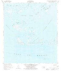 Central Isles Dernieres 1953 topographic map thumbnail