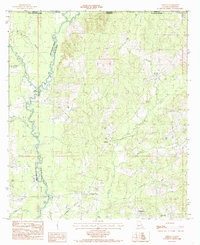 Chipola 1984 topographic map thumbnail