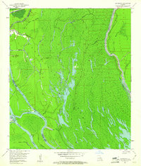 Cow Bayou 1953 topographic map thumbnail
