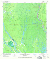 Cow Bayou 1969 topographic map thumbnail