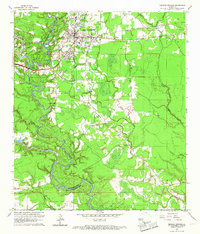 Denham Springs 1963 topographic map thumbnail
