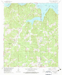 Downsville North 1982 topographic map thumbnail