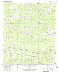 Downsville South 1982 topographic map thumbnail