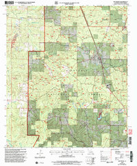 Dry Prong 2003 topographic map thumbnail