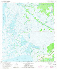 Ellerslie 1970 topographic map thumbnail