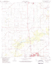 Eunice North 1983 topographic map thumbnail