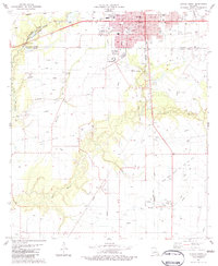 Eunice South 1983 topographic map thumbnail