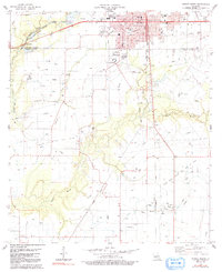 Eunice South 1983 topographic map thumbnail
