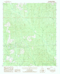 Flat Creek 1984 topographic map thumbnail