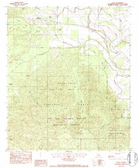 Flora 1983 topographic map preview