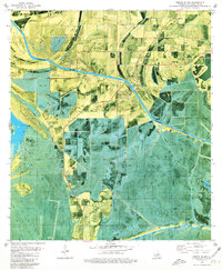 Forked Island 1979 topographic map thumbnail