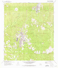 Fort Polk 1974 topographic map thumbnail