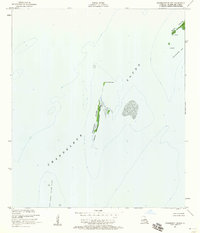 Freemason Island 1951 topographic map thumbnail