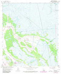 Gheens 1963 topographic map preview