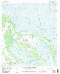 Gheens 1963 topographic map preview