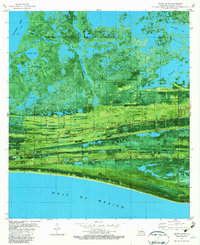 Grand Bayou 1982 topographic map thumbnail