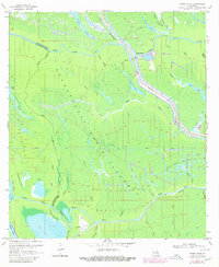 Grand River 1969 topographic map preview