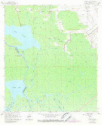 Grassy Lake 1965 topographic map thumbnail