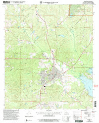 Homer 2003 topographic map thumbnail