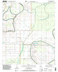 Indian Lake 1998 topographic map thumbnail