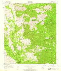 Jericho 1954 topographic map thumbnail